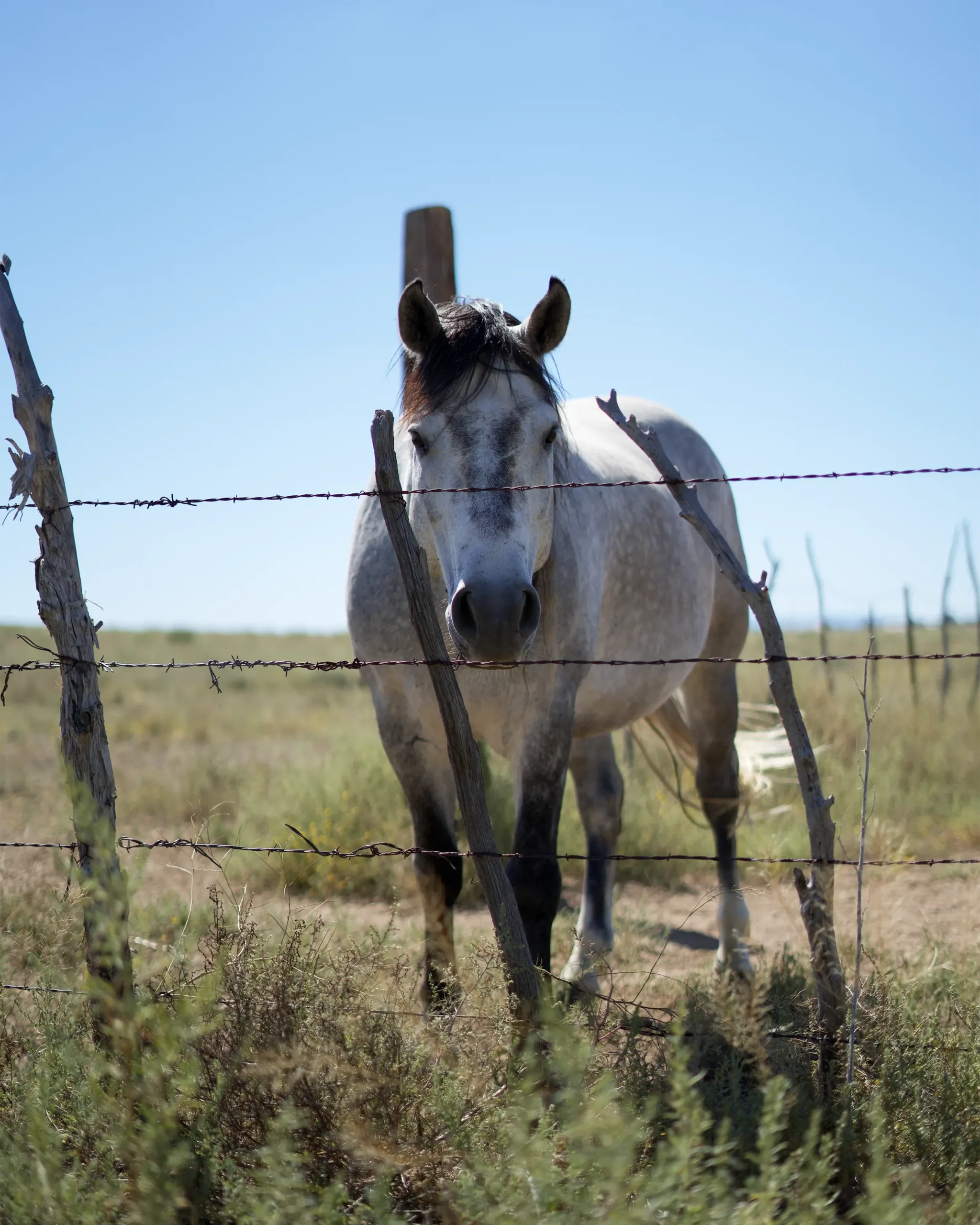 Communities and Homes in Chino Valley