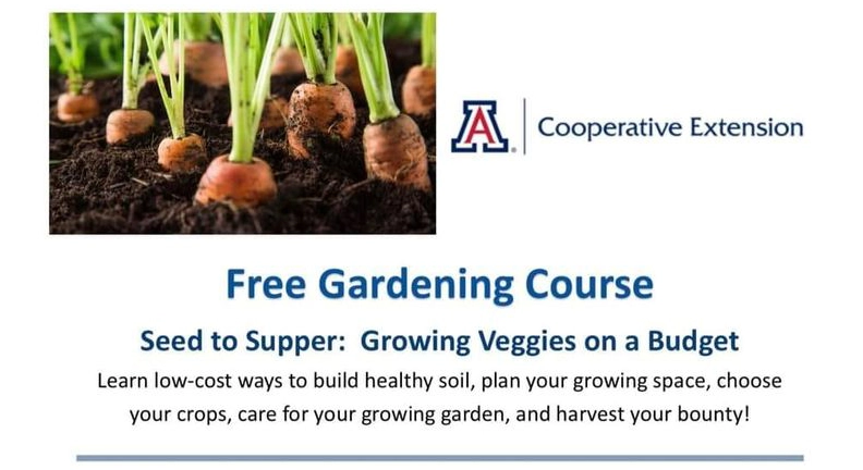 Free Gardening Course | 6 Class Series Seed to Supper- Growing Veggies on a Budget