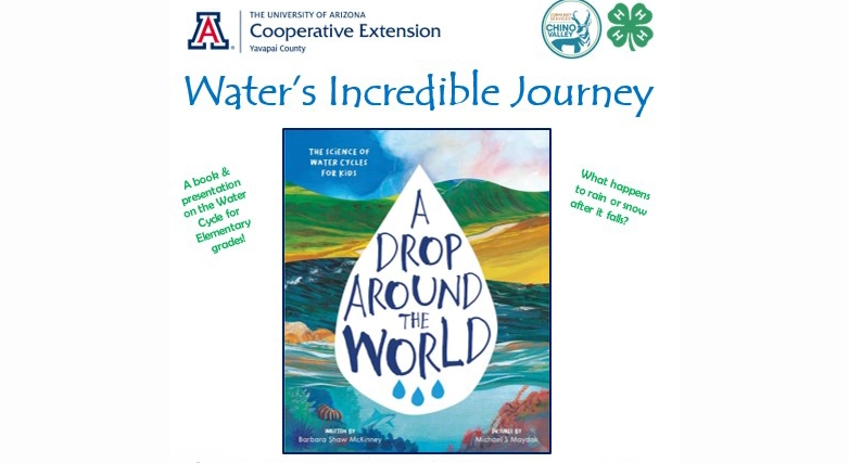 Water's Incredible Journey
