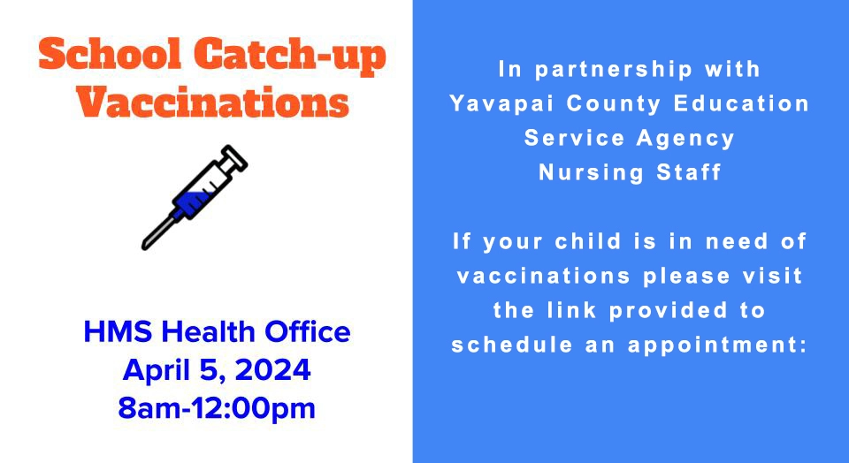 School Catch-Up Vaccinations