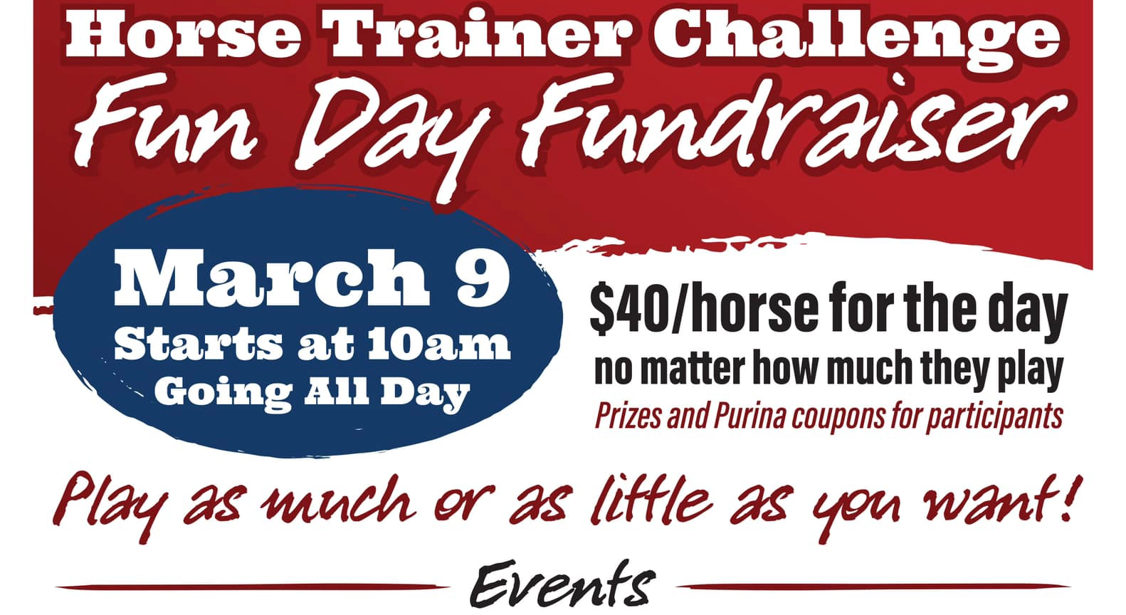 Horse Trainer Challenge | Fun Day Fundraiser