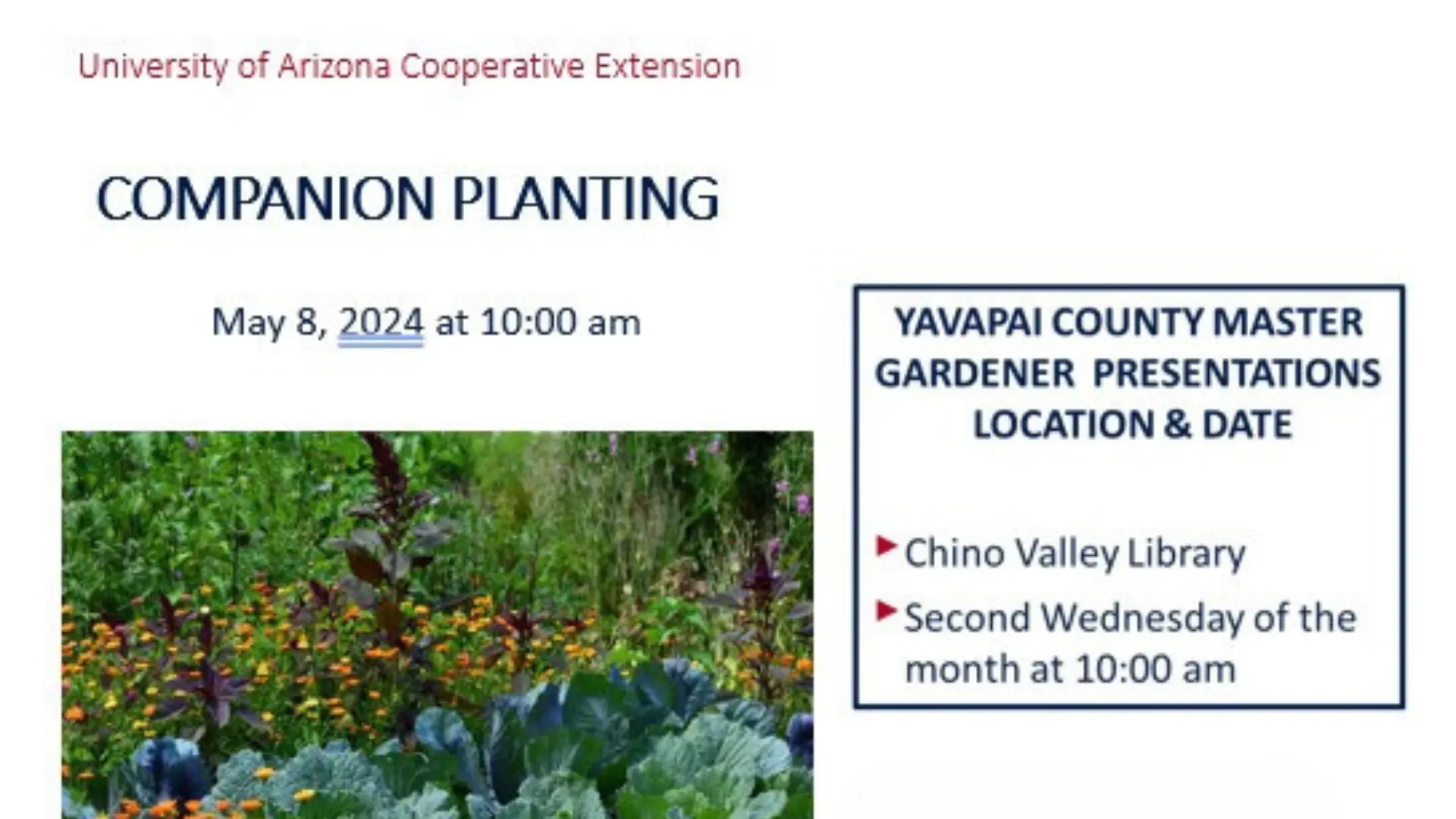 Chino Valley Companion Planting