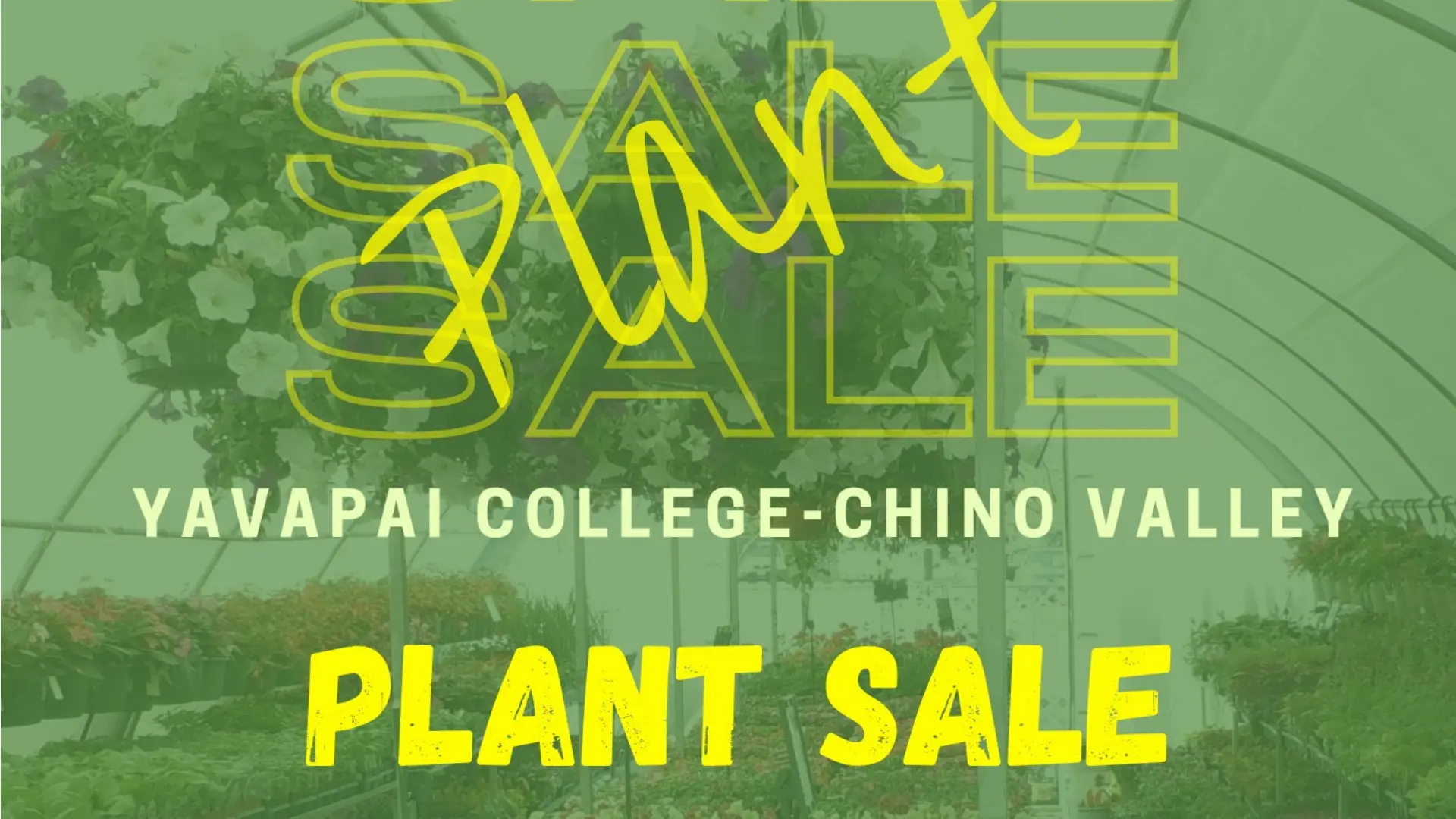 Chino Valley Yavapai College Plant Sale