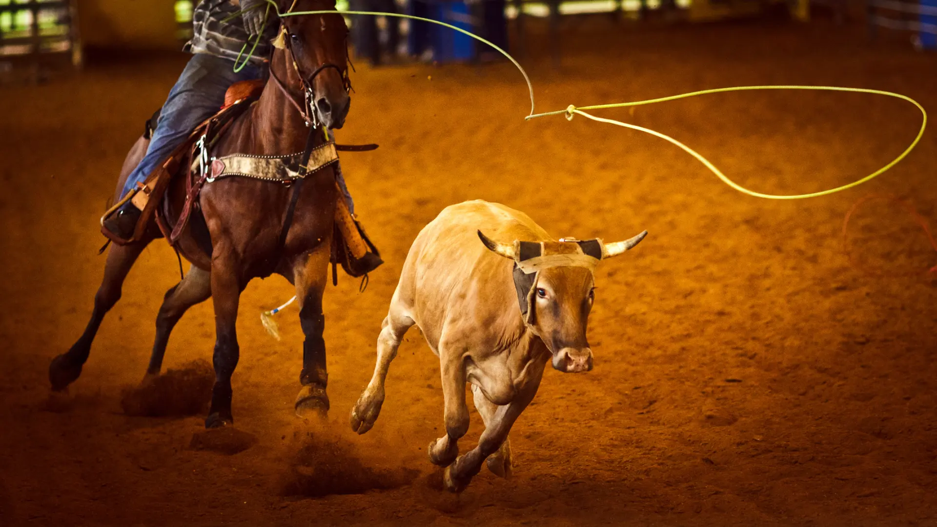 Chino Valley Olsens Events Team Roping