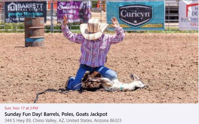 Olsen Events Sunday Fun Day! Barrels, Poles, Goats Jackpot