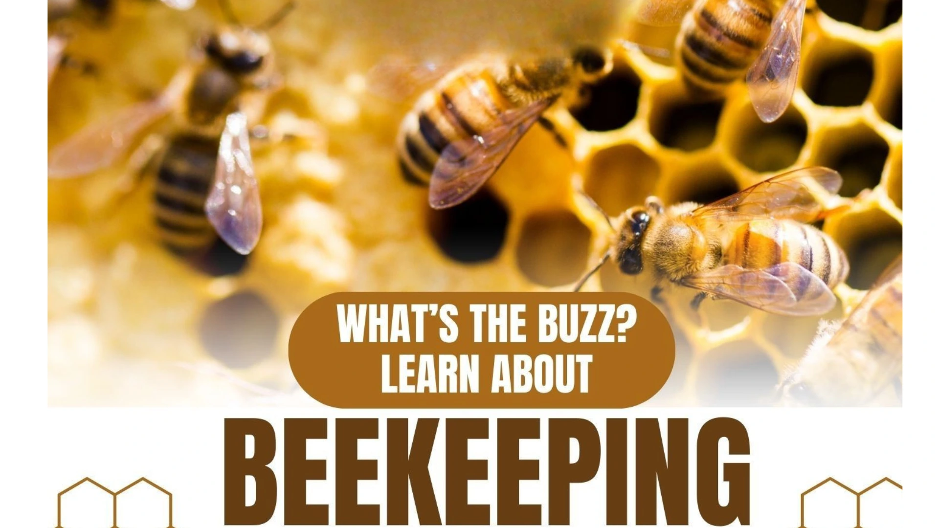 Chino Valley Library Bee Keeping