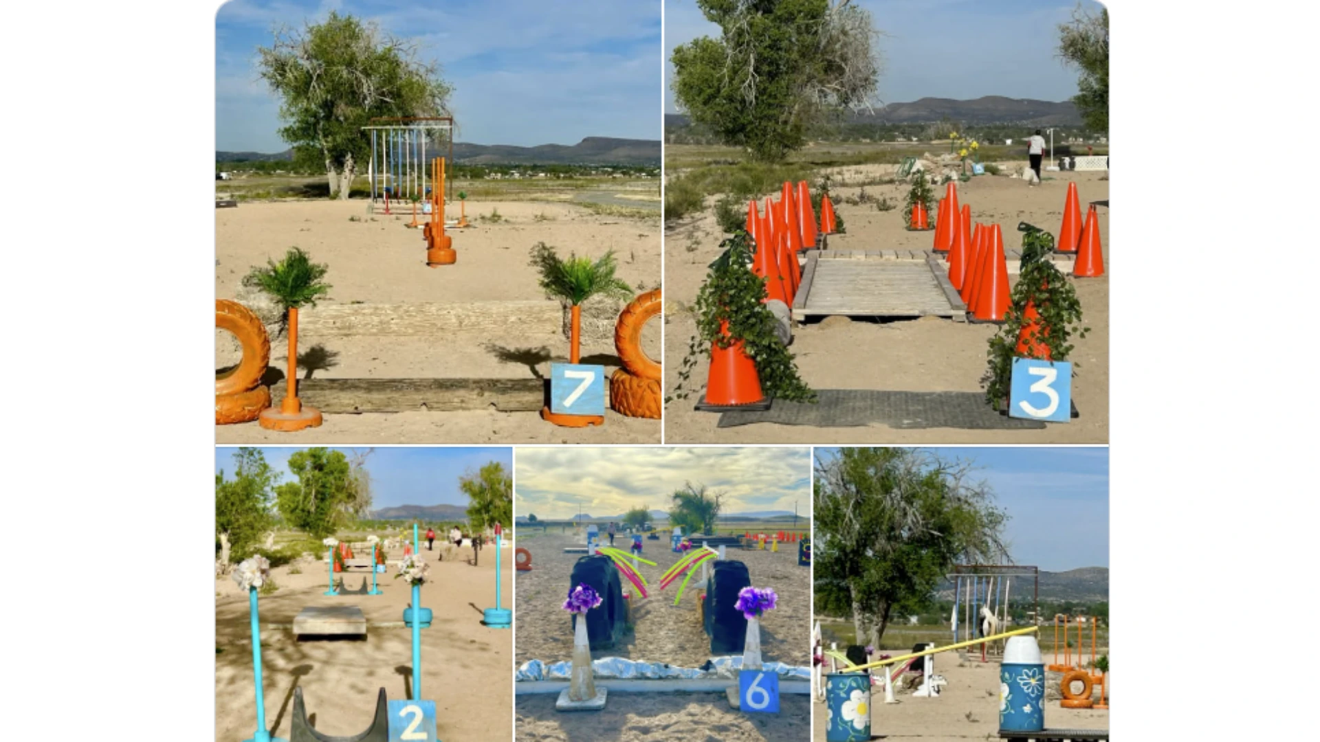 Obstacle Competition